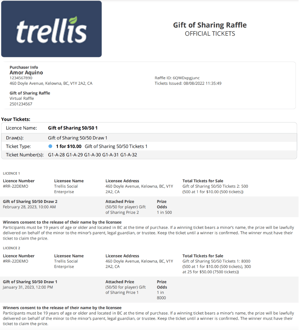 Automated Raffle Donor Communication Preview
